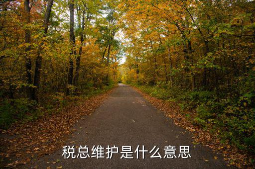 涉稅軟件維護(hù)費是什么東東，稅總維護(hù)是什么意思