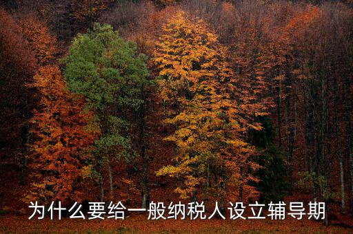 為什么增值稅輔導期，什么是輔導期一般納稅人