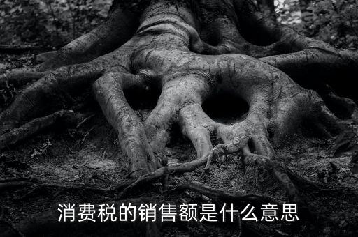 納稅人銷售額指什么意思，消費(fèi)稅的銷售額是什么意思