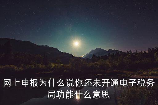 電子稅務(wù)局是干什么，企業(yè)金稅盤系統(tǒng)用來開票抄稅報稅用那登錄國稅地稅局網(wǎng)站是干嘛的