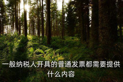 申請普票都需要什么，一般納稅人申請普通發(fā)票所帶的資料