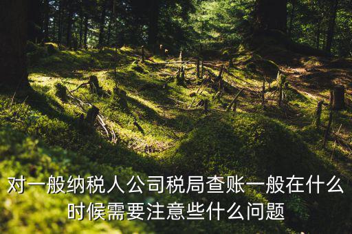 一般地稅稽查會在什么時候，稅務局什么時候會查賬不申報有哪些后果