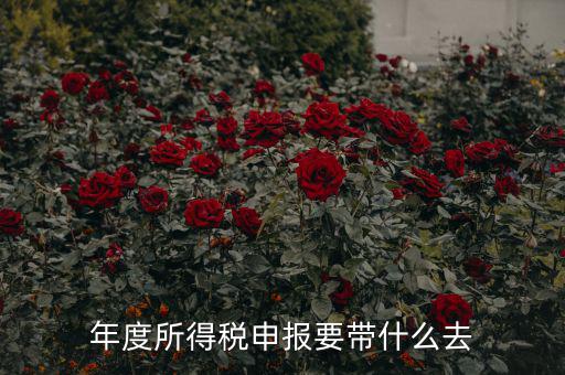 納稅申報(bào)應(yīng)帶什么東西，你好 到稅務(wù)局報(bào)稅需要帶什么東西怎么報(bào)
