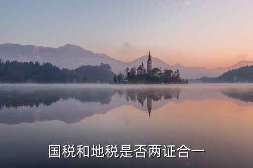 國(guó)稅的兩證合一是什么意思，國(guó)稅和地稅是否兩證合一