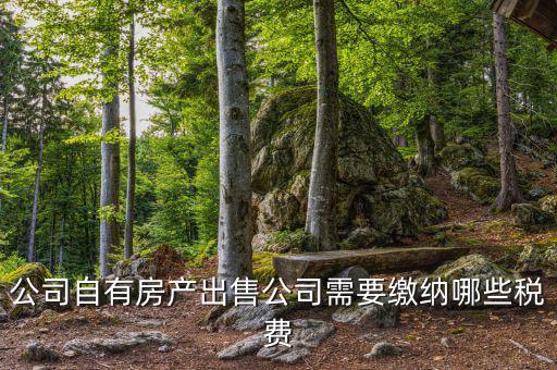 銷售房產(chǎn)公司交什么稅，銷售房產(chǎn)繳納什么稅
