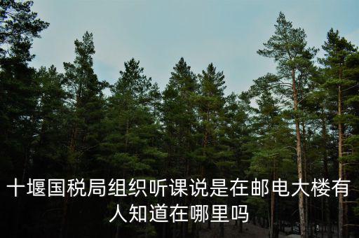 十堰國(guó)稅六辦指什么地方，十堰國(guó)稅局組織聽(tīng)課說(shuō)是在郵電大樓有人知道在哪里嗎