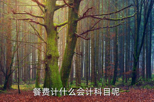 研發(fā)人員的餐費(fèi)計(jì)入什么科目，餐費(fèi)計(jì)什么會計(jì)科目呢