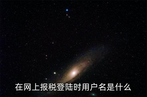 在網上報稅登陸時用戶名是什么