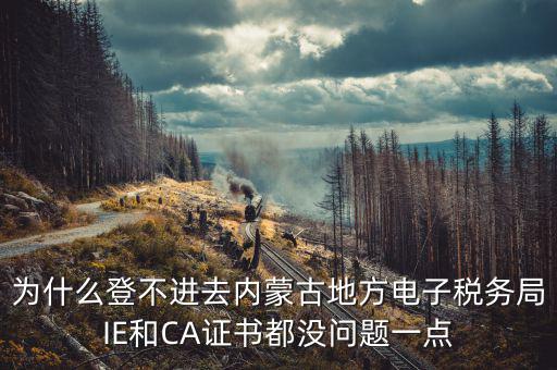 為什么ca登不了電子稅務局，國稅數字證書登陸失敗請問什么原因