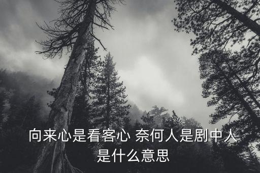 報送人是什么意思，會議提報人是什么意思