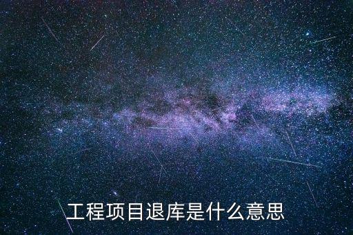 電子退庫是什么意思，工程項目退庫是什么意思