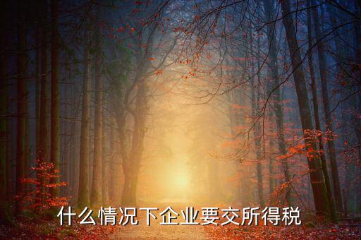 什么情況下預(yù)繳企業(yè)所得稅，什么情況下企業(yè)要交所得稅