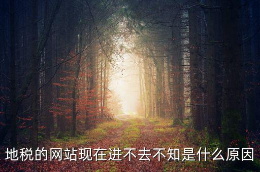 地稅的網(wǎng)站現(xiàn)在進不去不知是什么原因