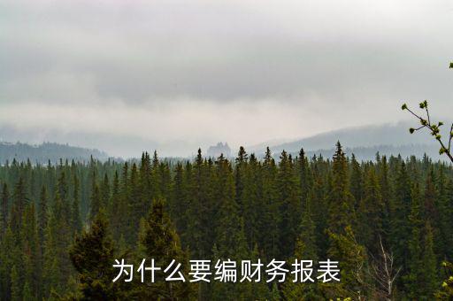 為什么要申報(bào)財(cái)務(wù)報(bào)表，為什么要編財(cái)務(wù)報(bào)表