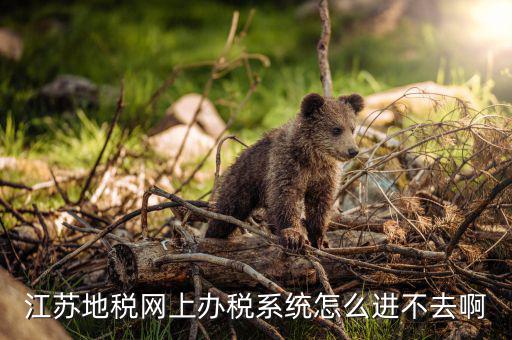 江蘇地稅網上辦稅系統(tǒng)怎么進不去啊