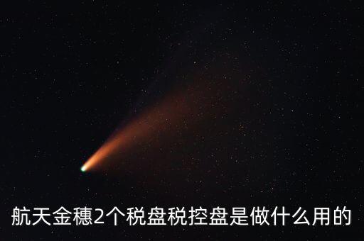 開票軟件兩盤是什么，第二個金稅盤裝開票軟件裝不了也沒有完全安裝這一步啥意思