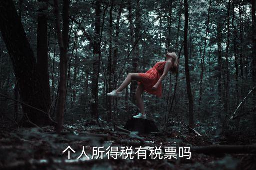 個人所得稅是什么發(fā)票，個人所得稅有稅票嗎
