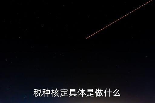 票中核定是什么核定的，哪些情況下要進(jìn)行國(guó)稅票種核定