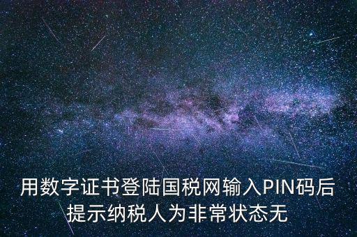 國稅pin碼是什么，機構(gòu)代碼的ca證書的PIN碼是什么我用CA證書登陸國稅時提示詳細
