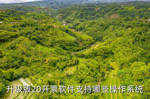 開票軟件適用什么系統(tǒng)，有沒有適合電商用的發(fā)票處理系統(tǒng)