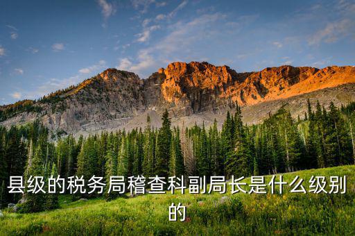 稅務局稽查科是什么，縣級的稅務局稽查科副局長是什么級別的
