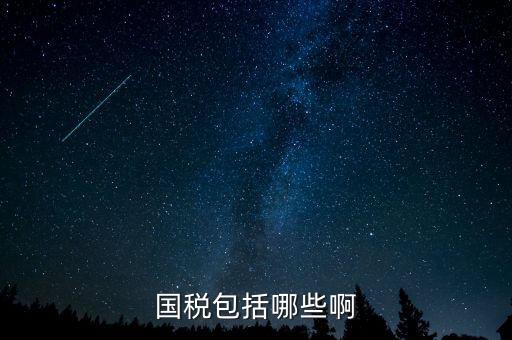 國稅涵蓋什么，國稅包括哪些啊