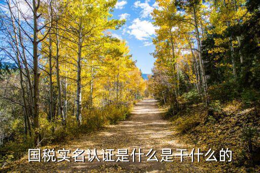 國(guó)稅局實(shí)名認(rèn)證是什么，今天國(guó)稅局叫去實(shí)名認(rèn)證認(rèn)證是不是就得交