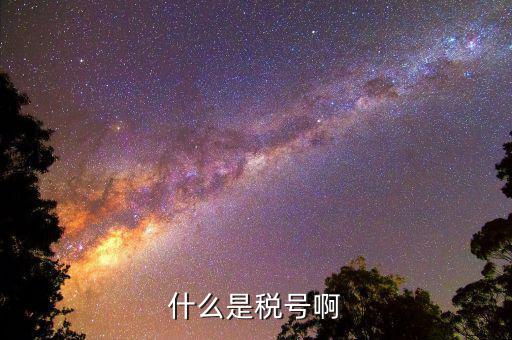 公司稅號是什么，公司的稅號一般有多少位