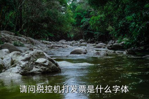 發(fā)票用什么字體，請(qǐng)問(wèn)稅控機(jī)打發(fā)票是什么字體