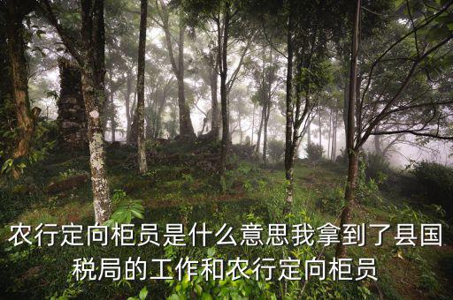 國(guó)稅值班是什么意思，農(nóng)行定向柜員是什么意思我拿到了縣國(guó)稅局的工作和農(nóng)行定向柜員