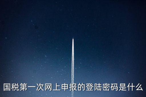所得稅清算登陸密碼是什么，國稅第一次網上申報的登陸密碼是什么