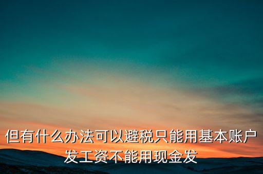 什么是國稅存量賬戶，但有什么辦法可以避稅只能用基本賬戶發(fā)工資不能用現(xiàn)金發(fā)