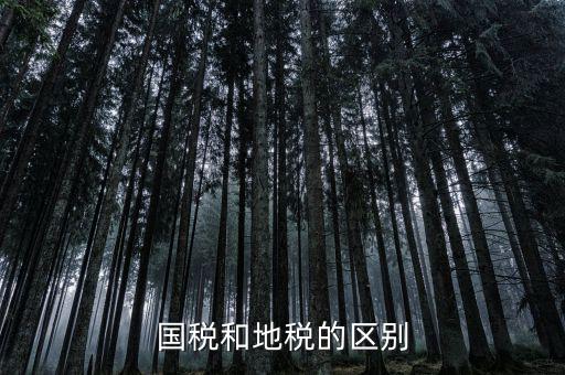 稅務(wù)和地稅什么區(qū)別，國稅和地稅的區(qū)別