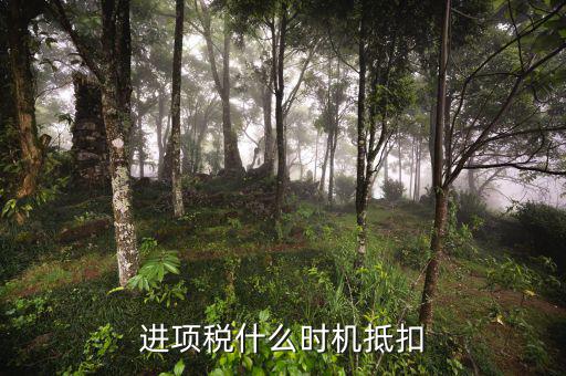 認證的進項稅什么時候抵扣，進項稅什么時機抵扣