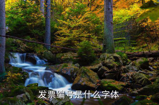 發(fā)票上的號碼是什么字體，發(fā)票編號是什么字體
