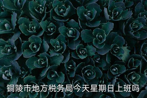 銅陵地稅局在什么地方，銅陵市地方稅務(wù)局今天星期日上班嗎
