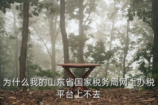 為什么我的山東省國家稅務(wù)局網(wǎng)上辦稅平臺(tái)上不去