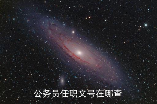 什么地方可以查任職文號，公務(wù)員任職文號在哪查