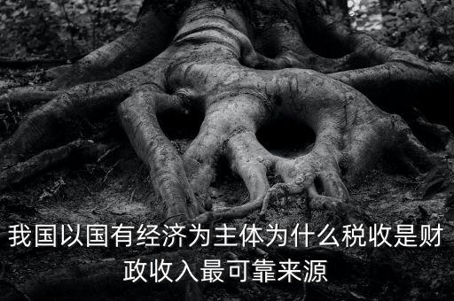 我國以國有經(jīng)濟(jì)為主體為什么稅收是財政收入最可靠來源