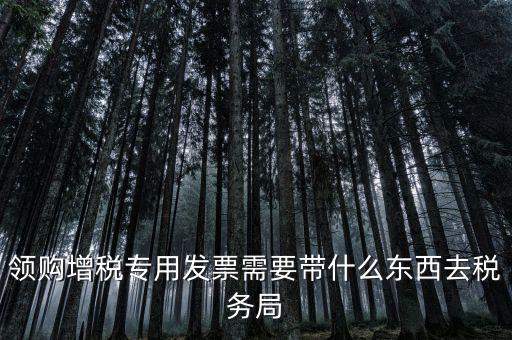 領(lǐng)專票帶什么資料，去稅務局領(lǐng)發(fā)票需要帶什么資料去