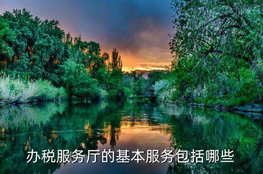 辦稅服務(wù)廳是什么意思，辦稅服務(wù)廳的基本服務(wù)包括哪些