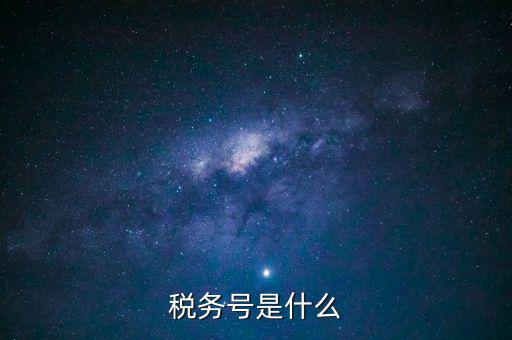 什么是稅務登記號，稅務號是什么