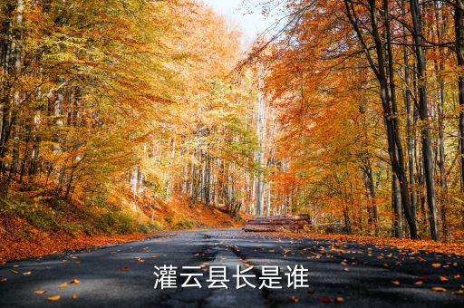 灌云國稅局局長叫什么，國家稅務(wù)局局長叫什么