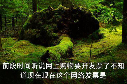 網(wǎng)絡(luò)發(fā)票是什么，在網(wǎng)上買東西電子發(fā)票與普通發(fā)票有區(qū)別嗎