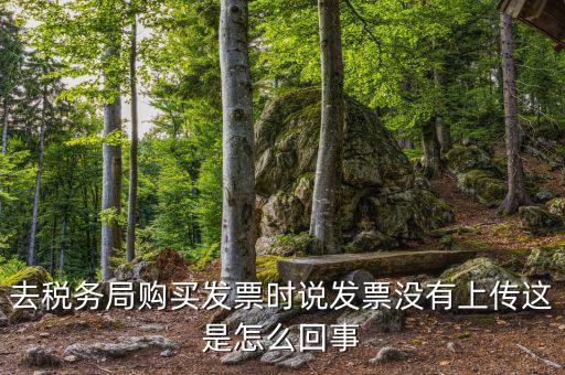 去稅務(wù)局購(gòu)買發(fā)票時(shí)說(shuō)發(fā)票沒(méi)有上傳這是怎么回事