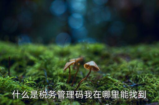 汽車保險稅務登記號是什么，稅務登記號查詢