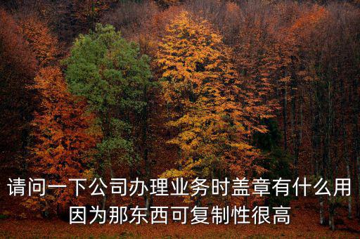 請問一下公司辦理業(yè)務(wù)時(shí)蓋章有什么用因?yàn)槟菛|西可復(fù)制性很高