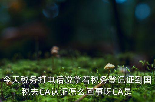 稅務局ca證書是什么，今天稅務打電話說拿著稅務登記證到國稅去CA認證怎么回事呀CA是