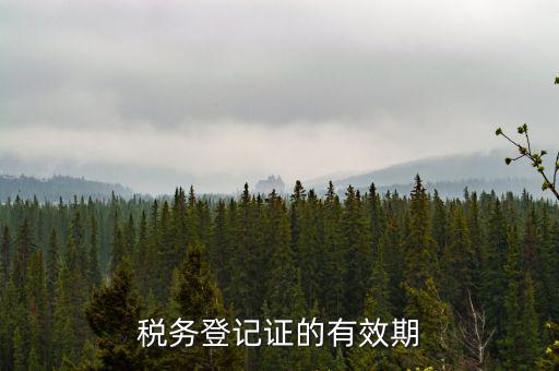 稅務登記證的有效期