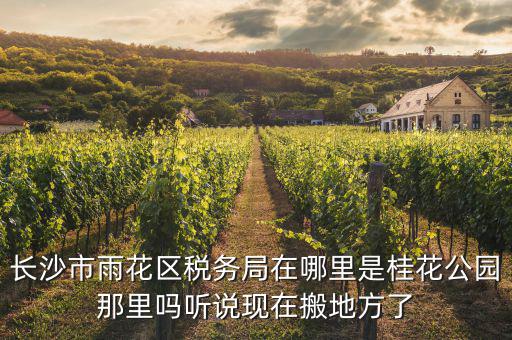 長沙國稅局在什么地方，長沙國稅局在哪